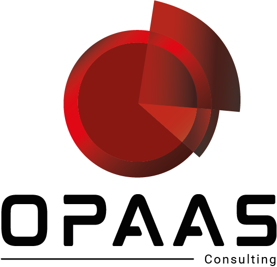 OPaaS Consulting